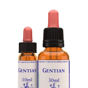 Gentian