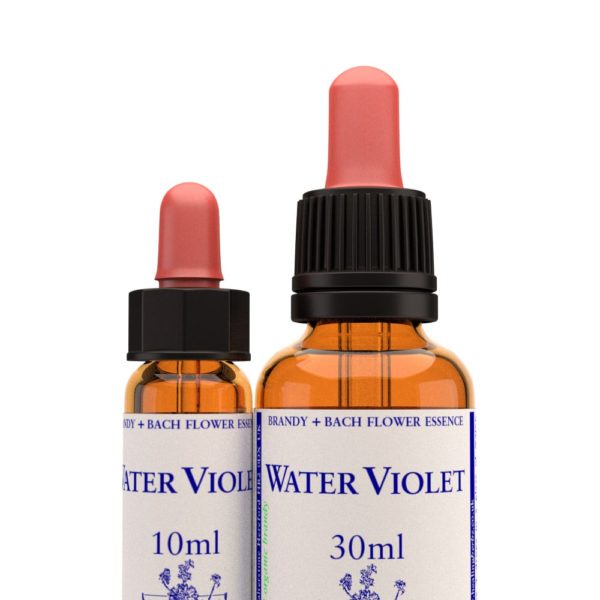virtusia-bachovky-WaterViolet Water Violet - Image 1