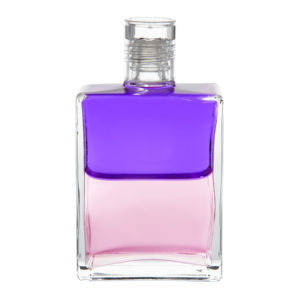 Equilibrium B36 Dobročinnosť