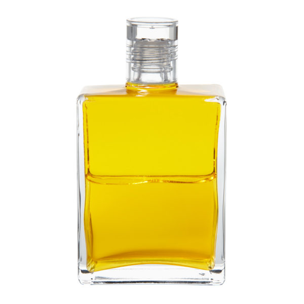 Equilibrium B42 Žatva - Image 1