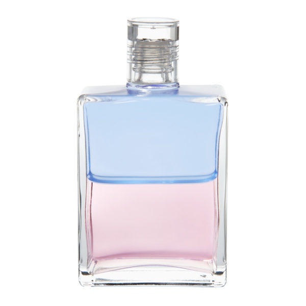 Equilibrium B58 Orion & Angelika - Image 1