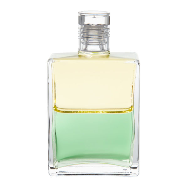 Equilibrium B74 Triumf - Image 1