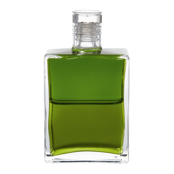 Equilibrium B91 Ženské vodcovstvo srdca - Image 1