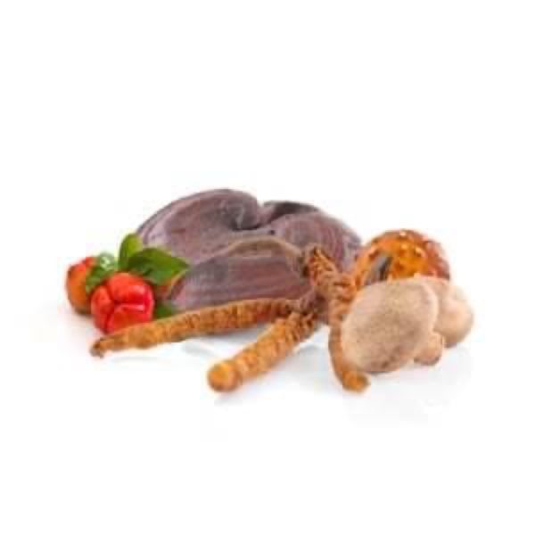 MycoComplex MycoMedica - Image 2