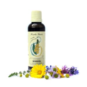 Divozel veľkokvetý tinktúra