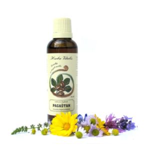 Pagaštan konský tinktúra