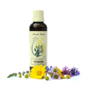 Túžobník brestový tinktúra