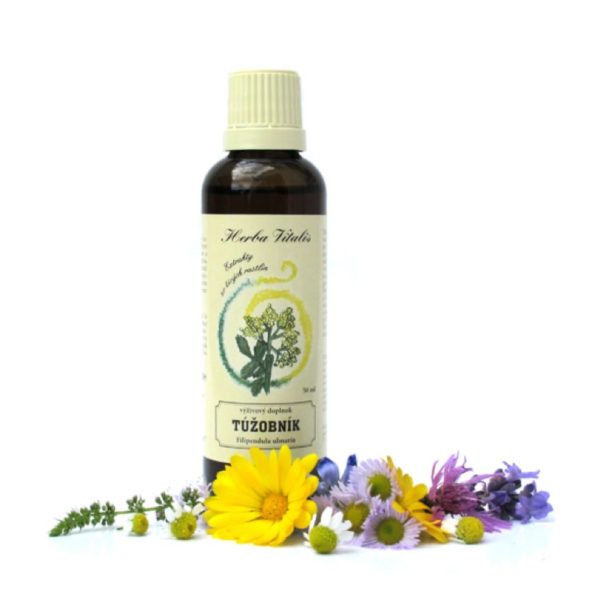 Túžobník brestový tinktúra - Image 1