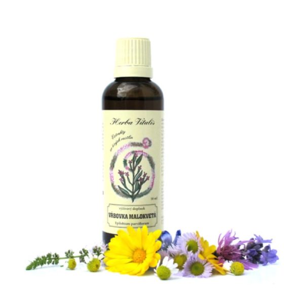 Vŕbovka malokvetá tinktúra - Image 1