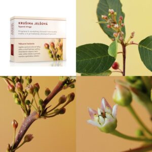 Krušina jelšová kôra