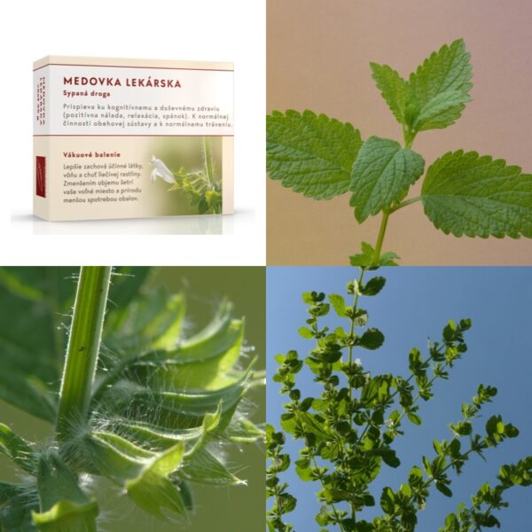 Medovka lekárska vňať - Image 1