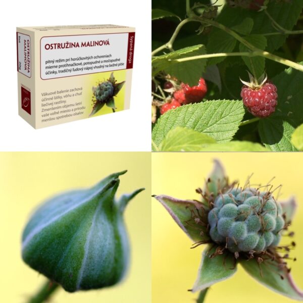 vickywall-sypany-caj-ostruzina-malinova Ostružina malinová list - Image 1