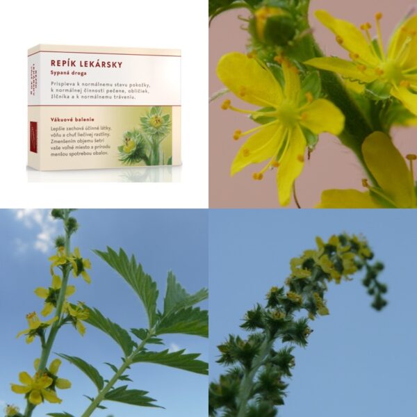 Repík lekársky vňať - Image 1