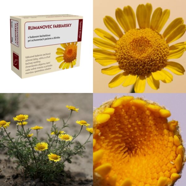 Rumanovec (Ruman) farbiarsky kvet - Image 1