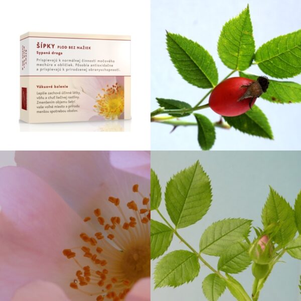 Šípky drvené oplodie - Image 1