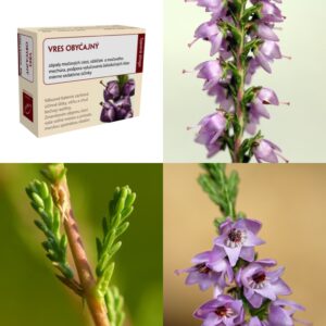 Vres obyčajný kvet a vňať