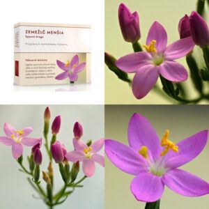 Zemežlč menšia vňať